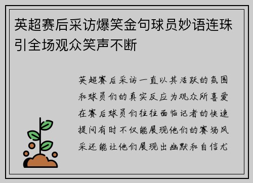 英超赛后采访爆笑金句球员妙语连珠引全场观众笑声不断