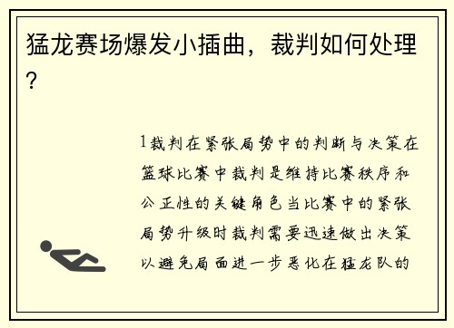 猛龙赛场爆发小插曲，裁判如何处理？